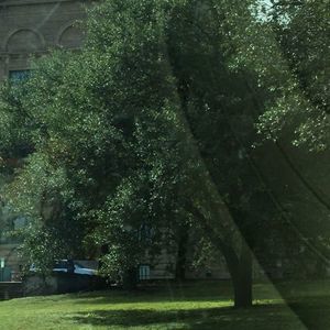 Meet your Posher, Noah